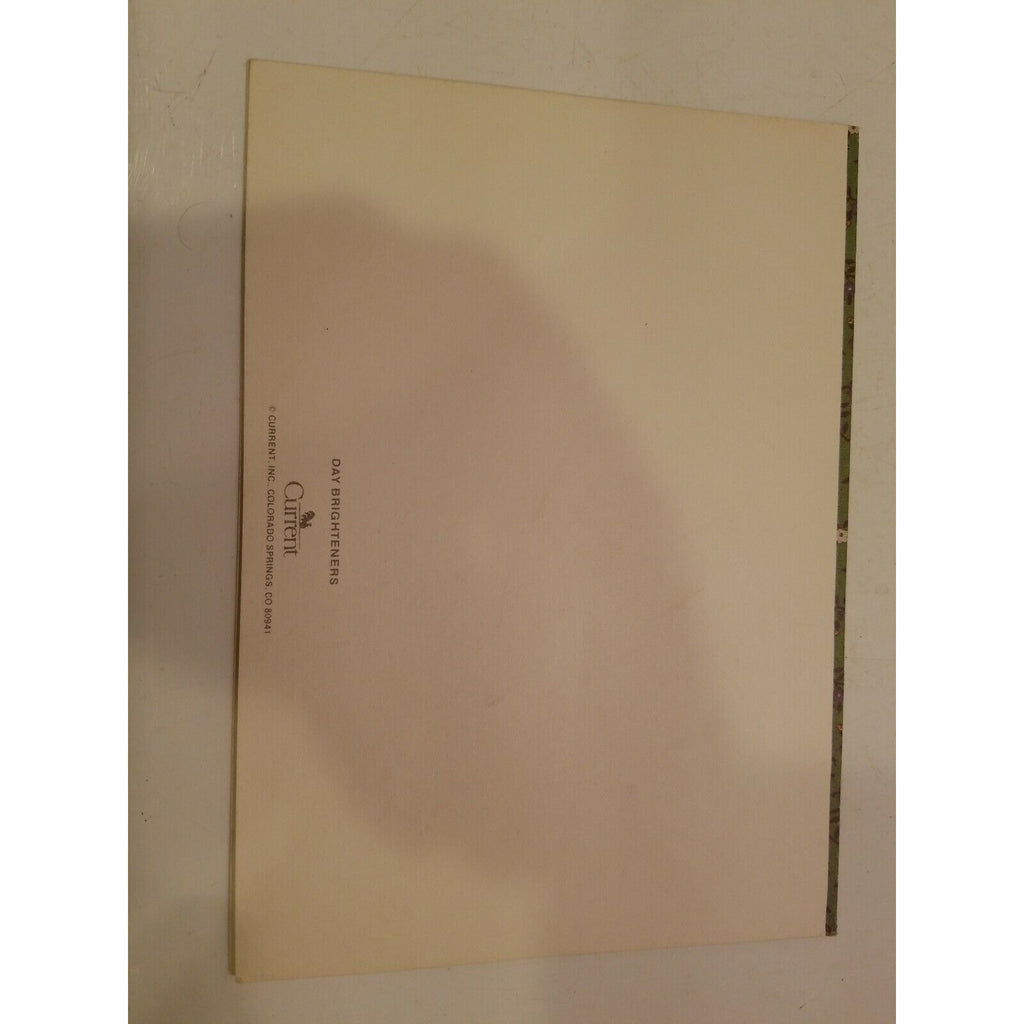 Lot of 2 Vintage Day Brighteners by Current Folder Cards Sunshine Beauty unused