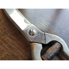 Vintage Ekco Locking Stainless Steel Poultry Shears 9" - Made in Japan