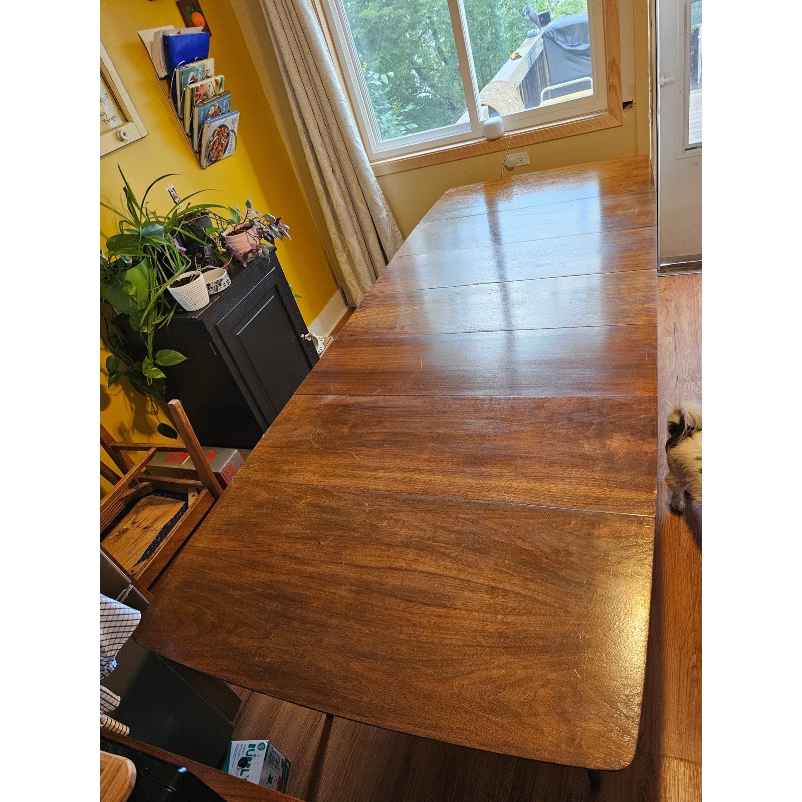Mid-Century Walnut Expanding, Drop-Leaf Dining Table - Seats up to 10