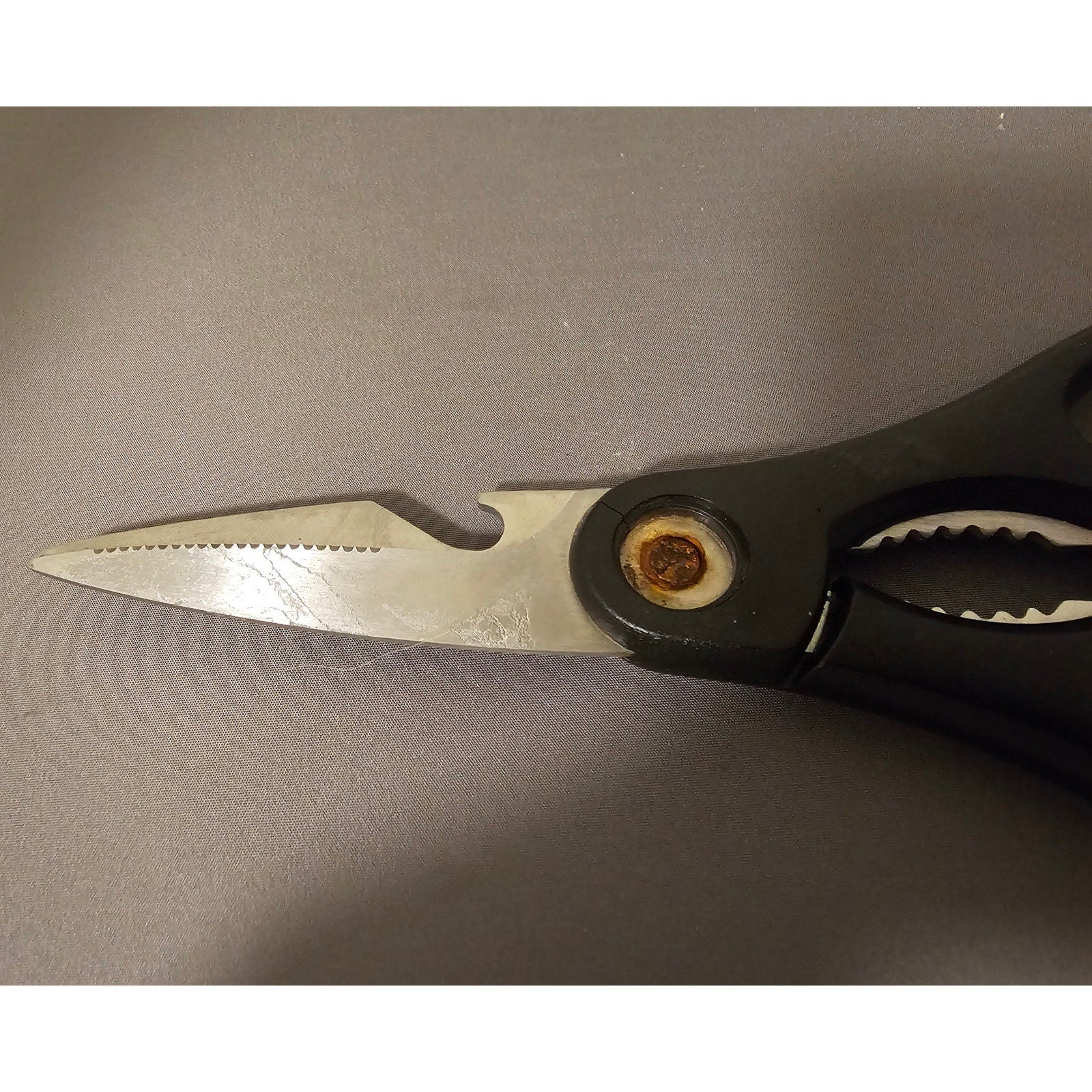 8" (in) Astercook Stainless Steel Kitchen Sheers-Scissors - Utility Tool (used)