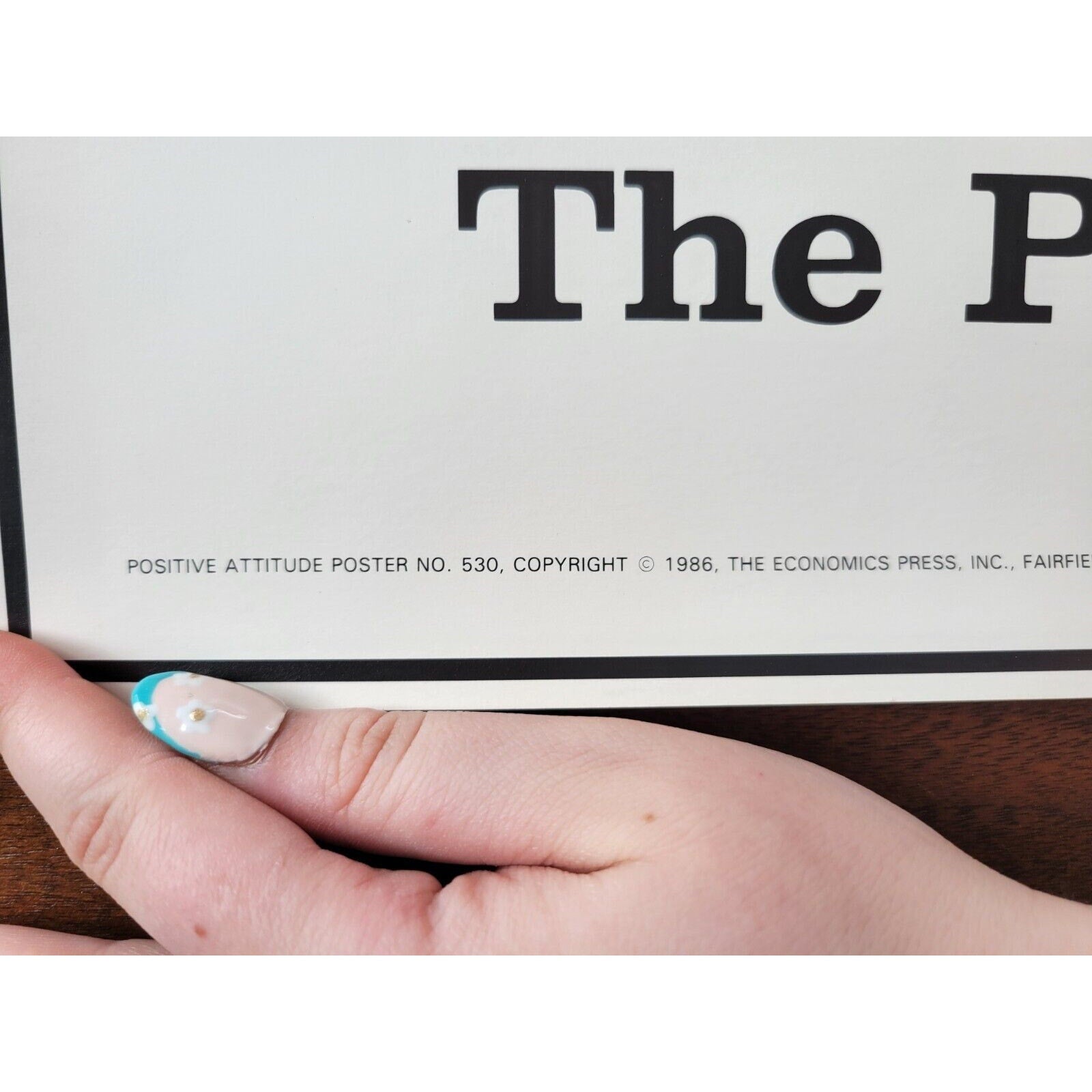 1986 Positive Attitude Poster #530 - Economics Press - Ted Key -How About Litter