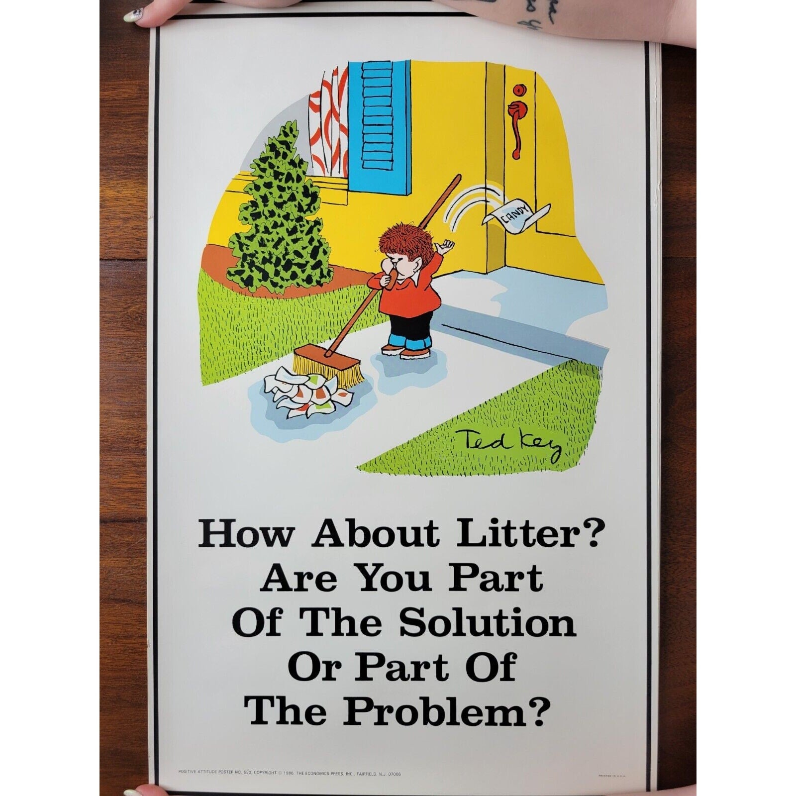 1986 Positive Attitude Poster #530 - Economics Press - Ted Key -How About Litter
